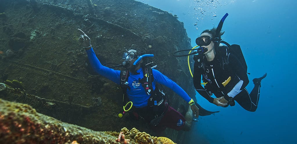 divemaster-1 divemaster-1