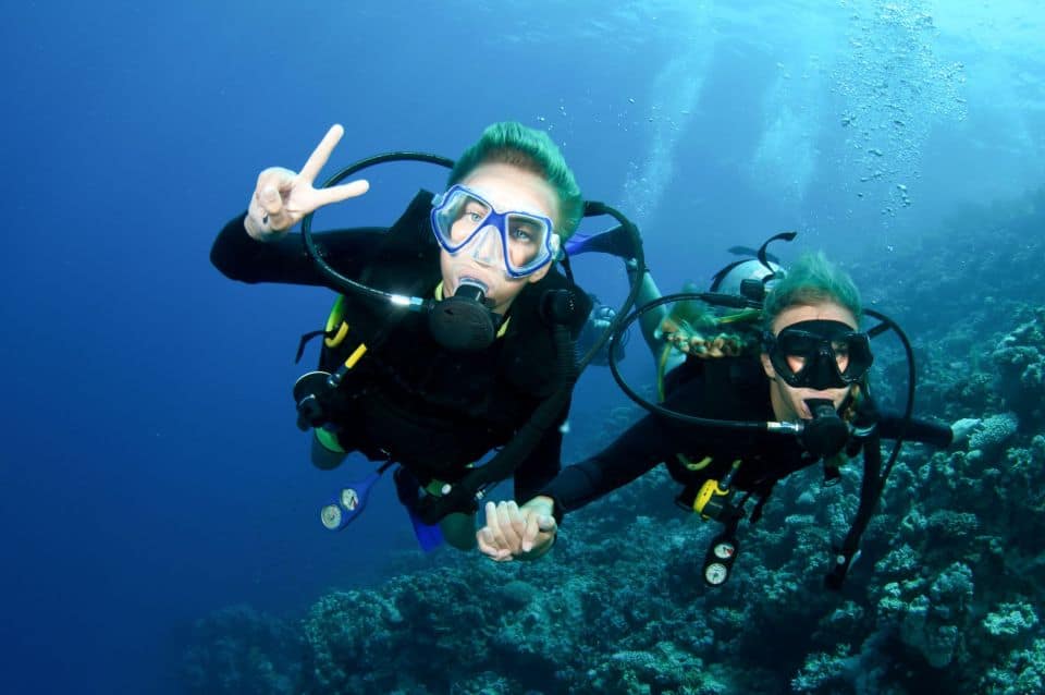 Daily Dives Daily Dives