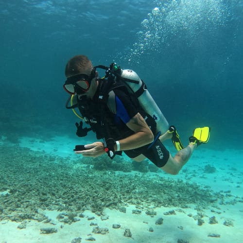 Diving course Diving course