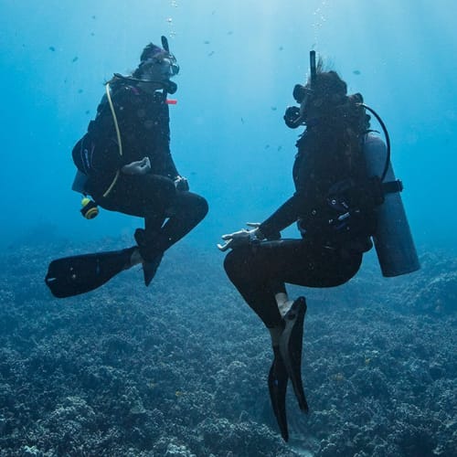 Diving course Diving course