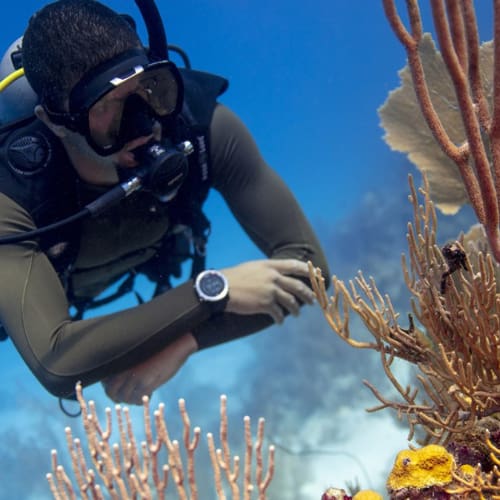 Diving course Diving course