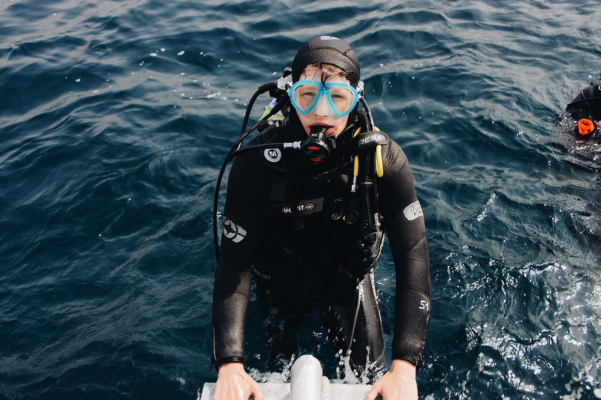 Diving on the Red Sea