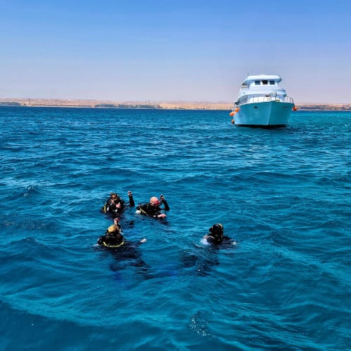 Diving course